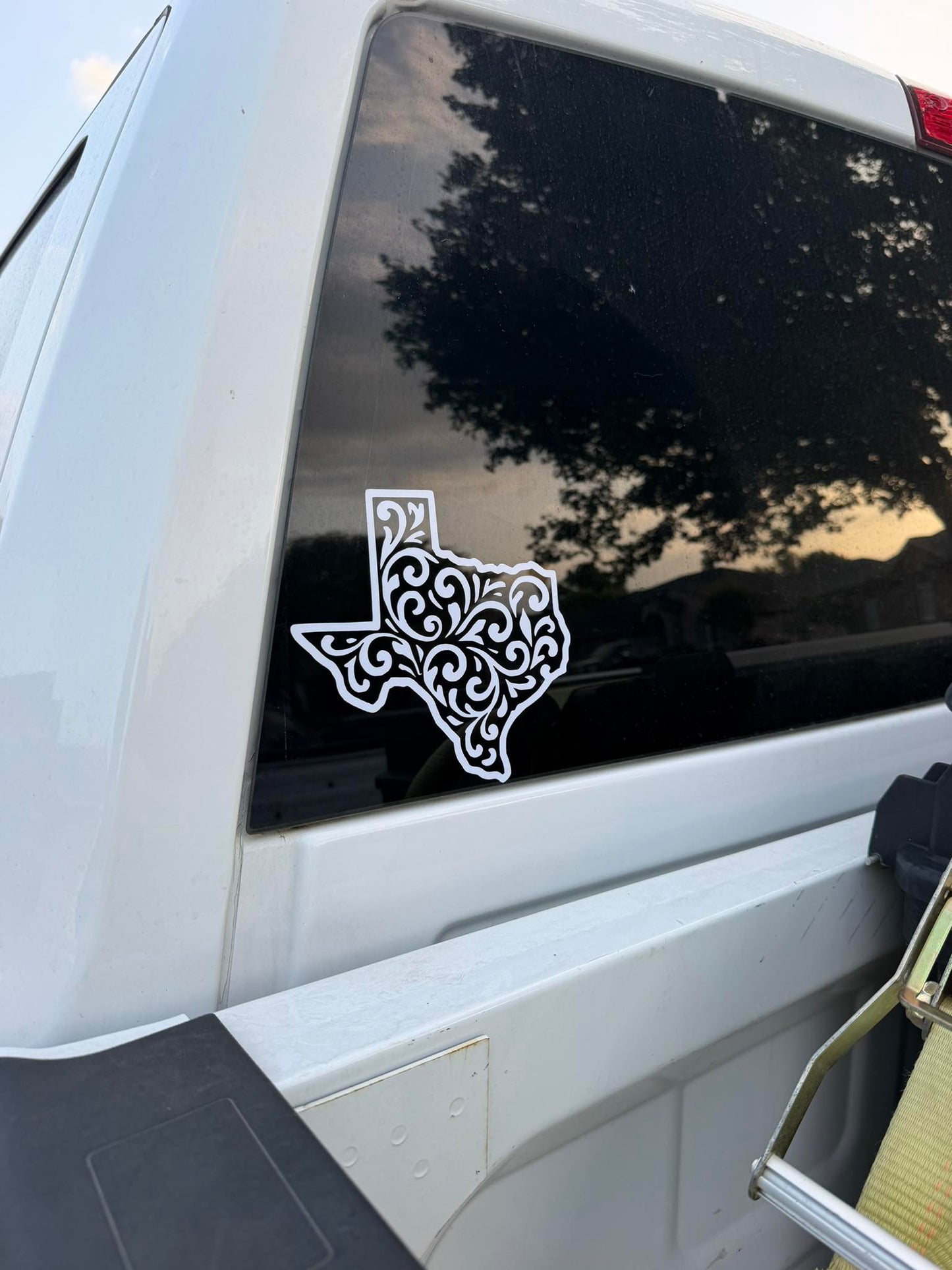 TX Paisley Decal